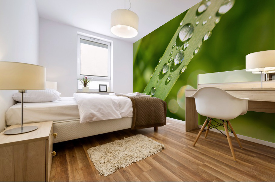 Dewdrops on Grass Mural print