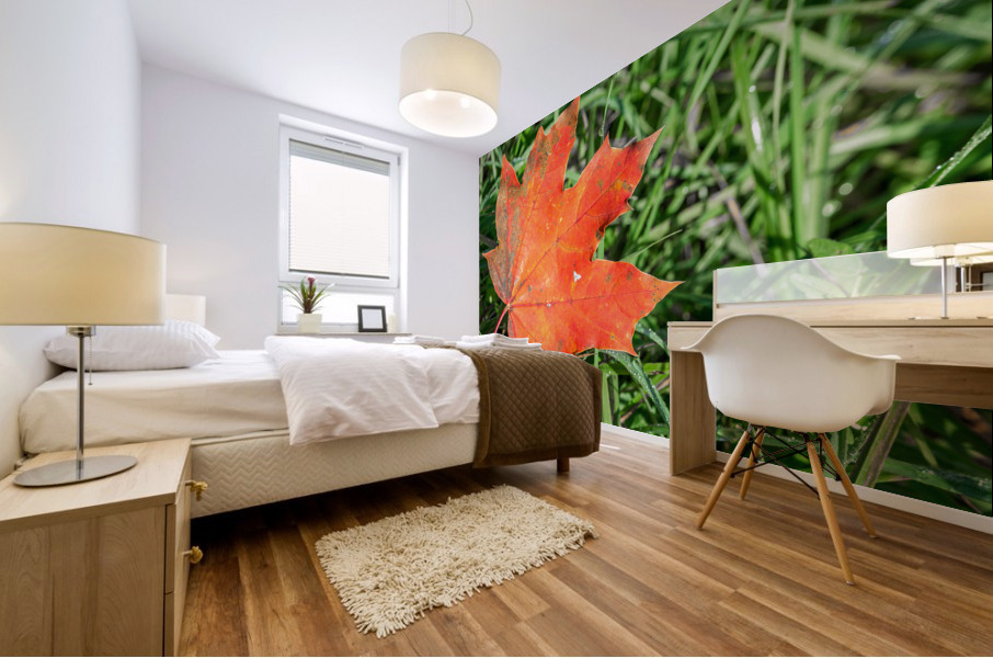 Red Maple Leaf Mural print