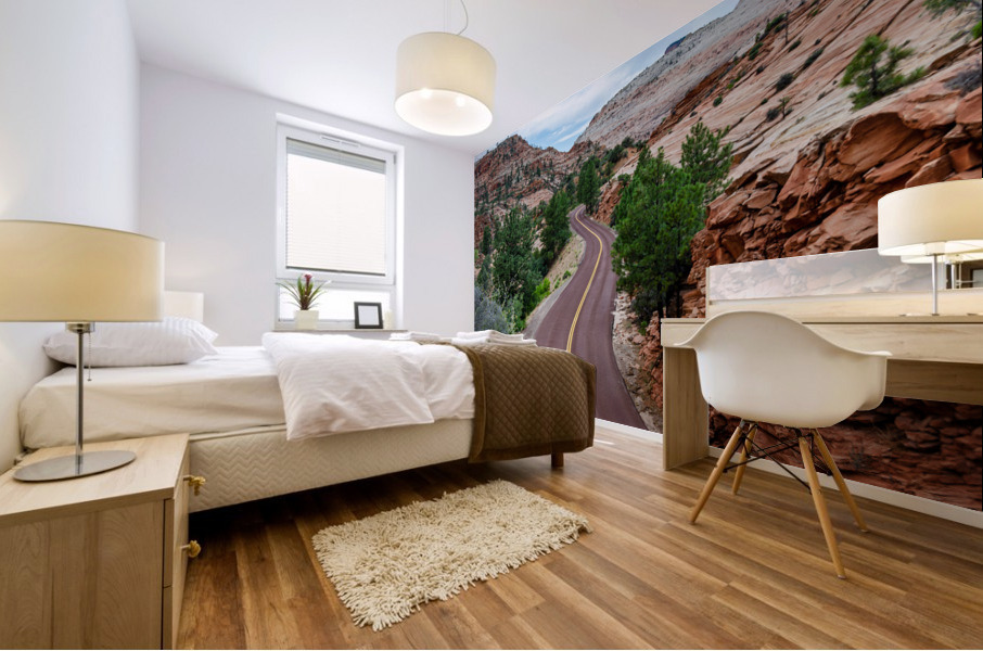 Curvy Desert Road Mural print