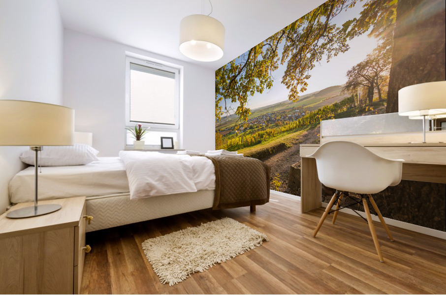 Vineyard Trail Mural print