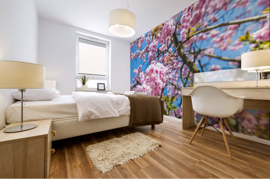 Cherry Blossom Mural print