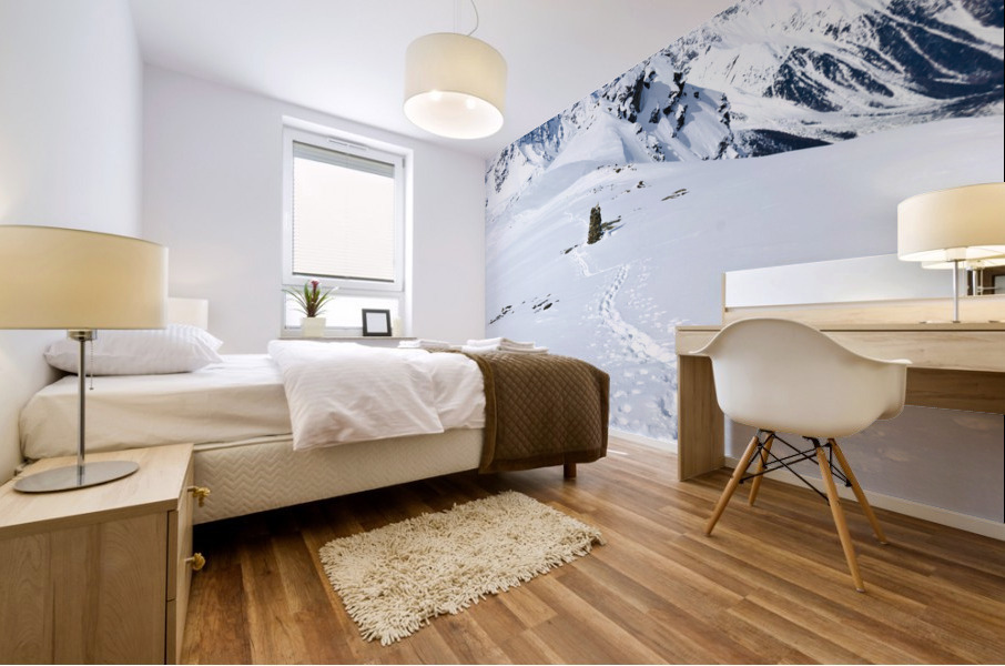 Ski Tour Mural print