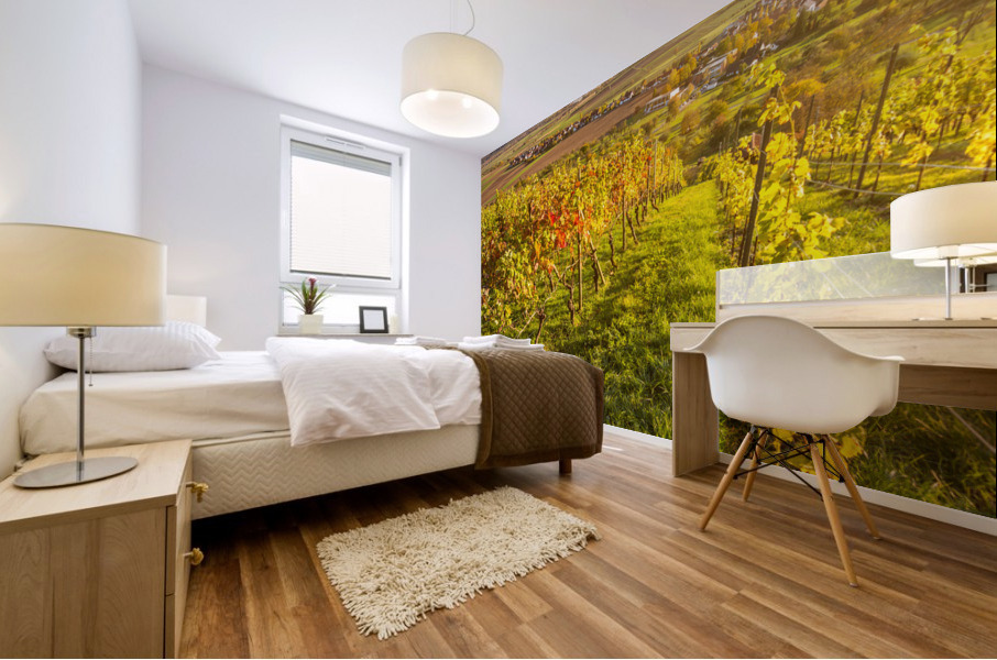 Vineyard Sunset Mural print