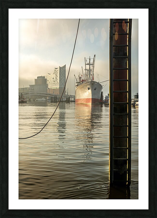 Cap San Diego and Elbphilharmonie at St. Pauli Landungsbrücken pier at the Elbe River in Hamburg Germany Picture Frame print