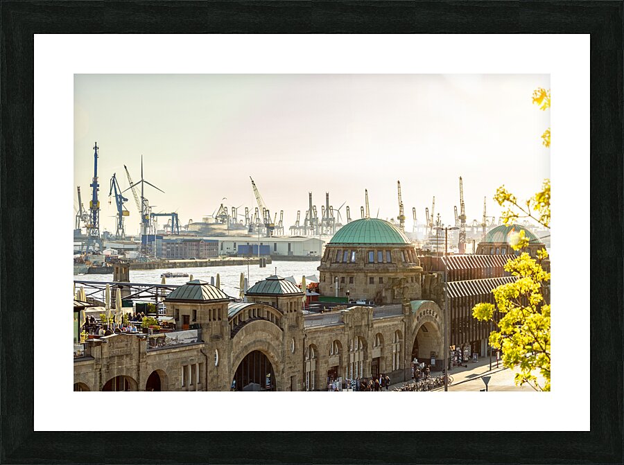  Fine Art print