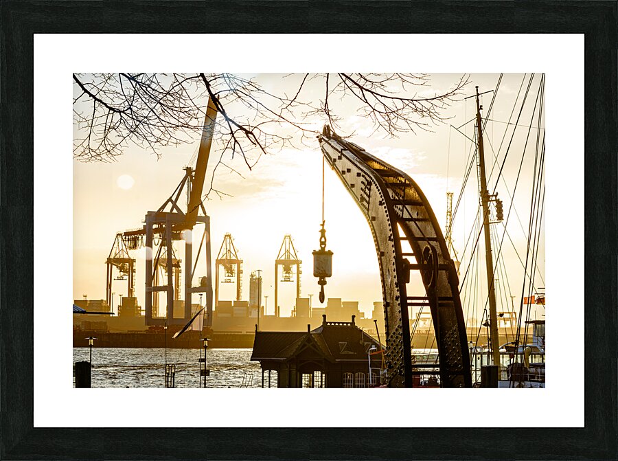  Fine Art print