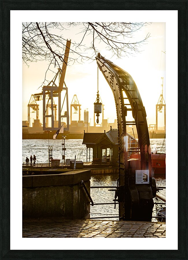  Fine Art print