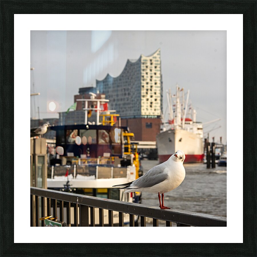  Fine Art print