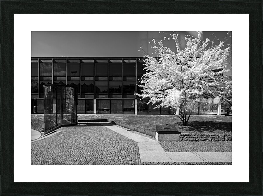 Black and White Spring Picture Frame print