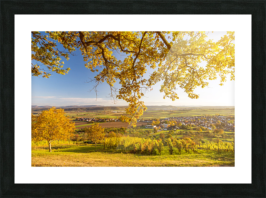  Fine Art print