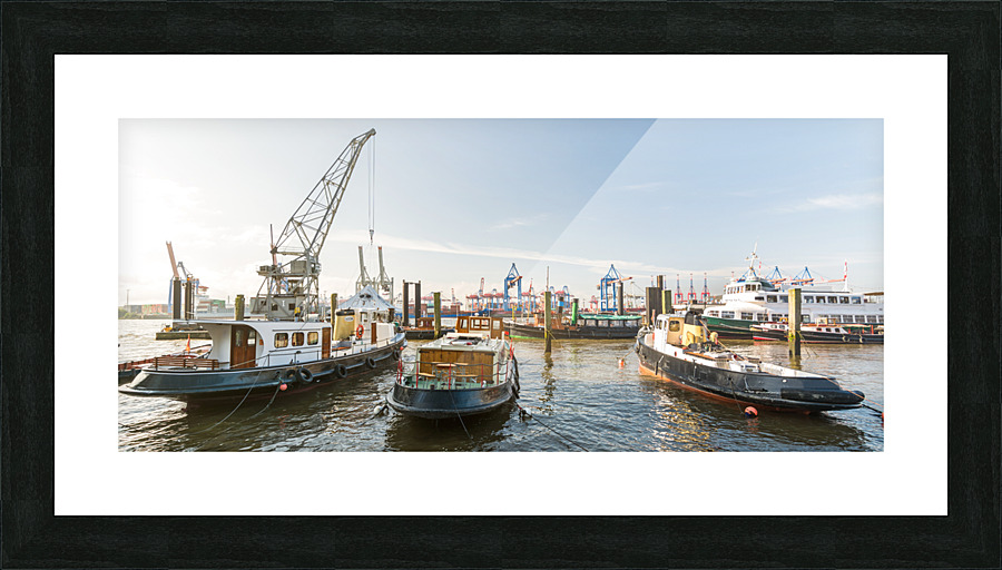  Fine Art print