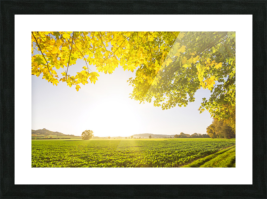  Fine Art print