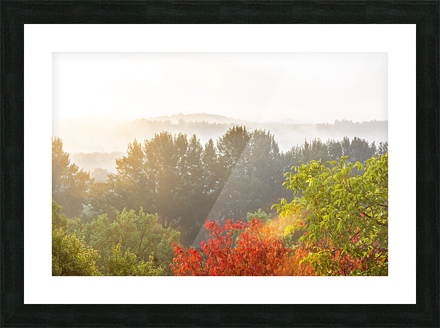 Autumn Picture Frame print
