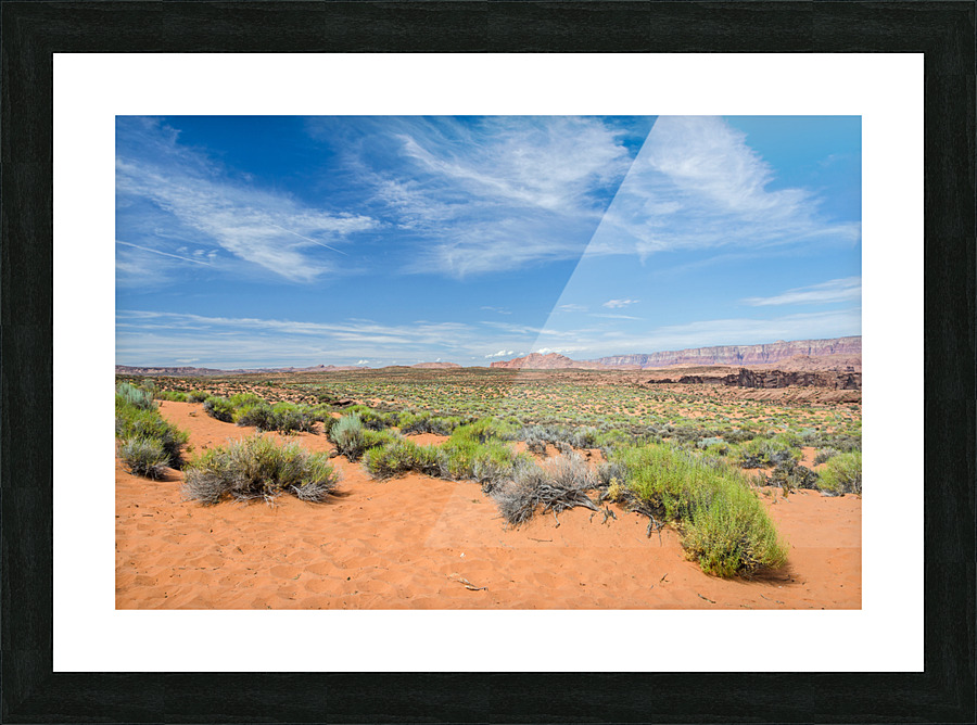 Bushes Picture Frame print