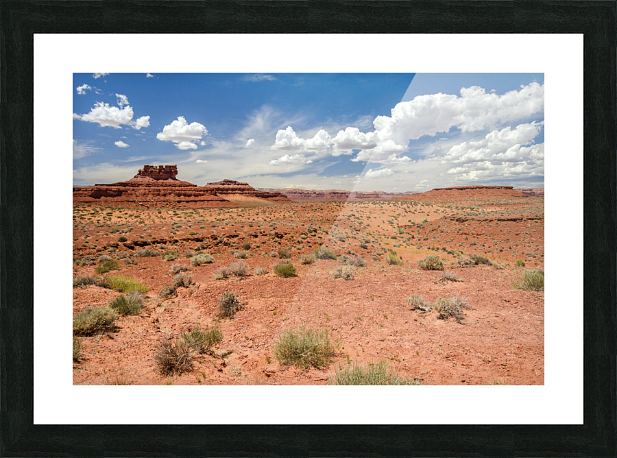 Red Desert Picture Frame print