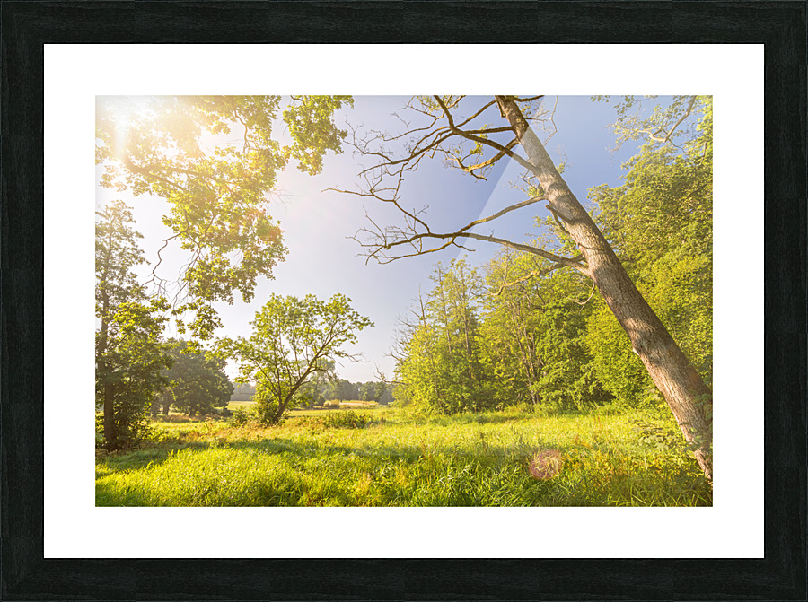 Park Picture Frame print