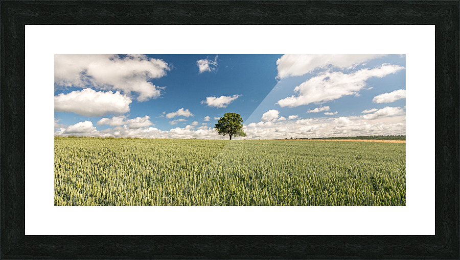 Tree Picture Frame print