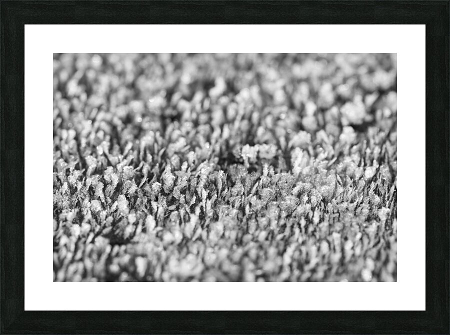 Frost Picture Frame print