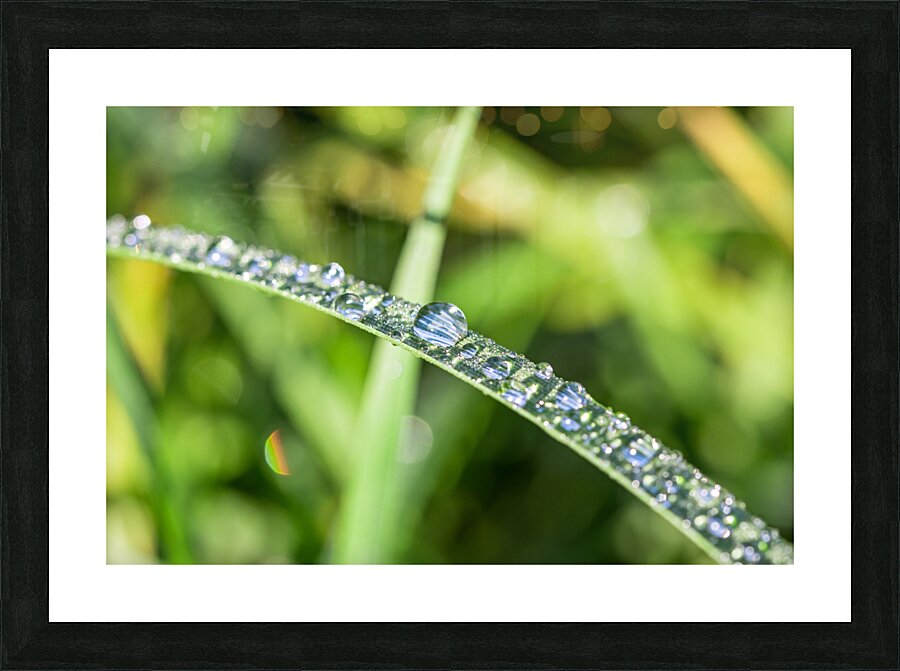 Nature Picture Frame print