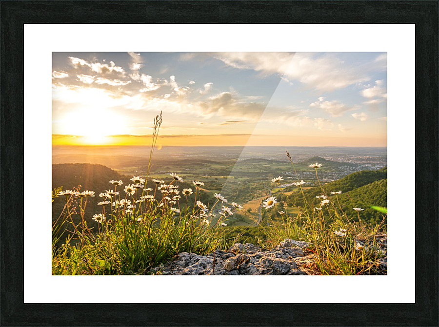 Mountain Flowers Picture Frame print