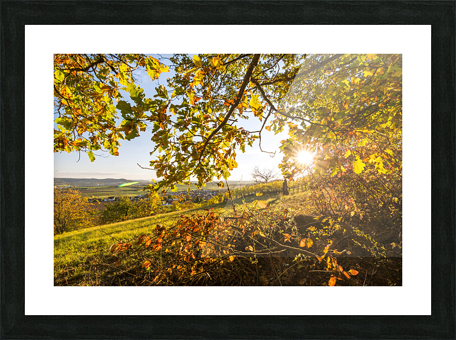 Vineyard View Picture Frame print