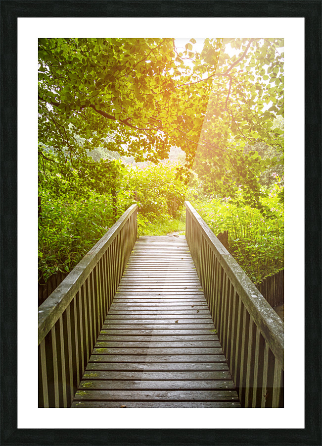 Forest Bridge Picture Frame print