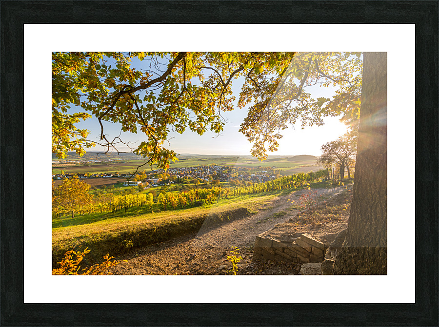 Vineyard Trail Picture Frame print