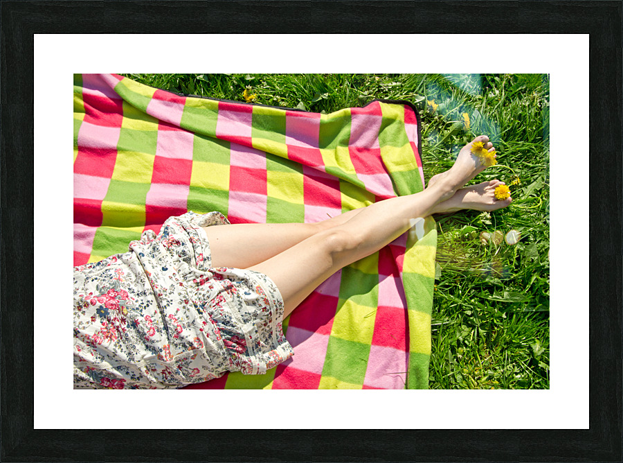 Picnic Picture Frame print