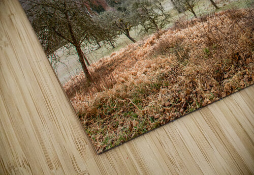 Landscape around the ancient monastery of Bebenhausen in winter caladoart puzzle