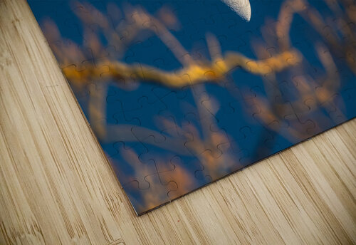 Beautiful image of a crescent moon seen through three branches at sunset  caladoart puzzle