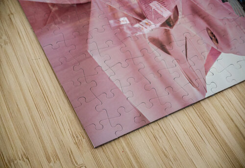 Haute Couture  caladoart puzzle