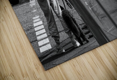 Zaungast  caladoart puzzle
