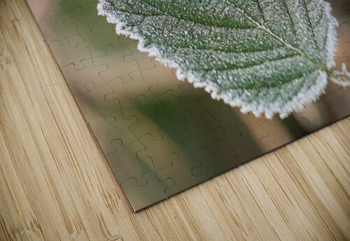 Macro shot of a frozen leaf caladoart puzzle