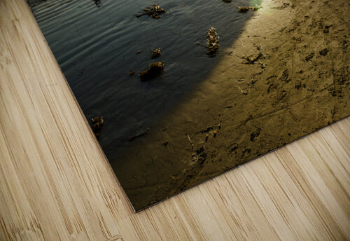 California Sunset caladoart puzzle