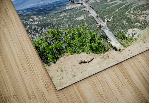 Desert Tree caladoart puzzle