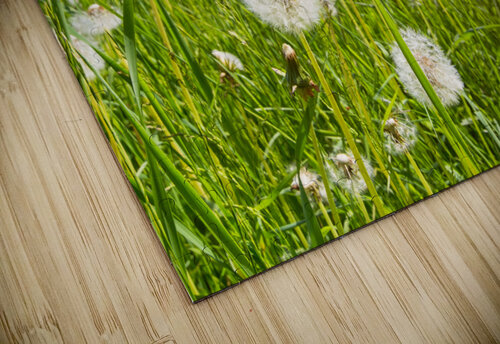 Blowball Flowers caladoart puzzle