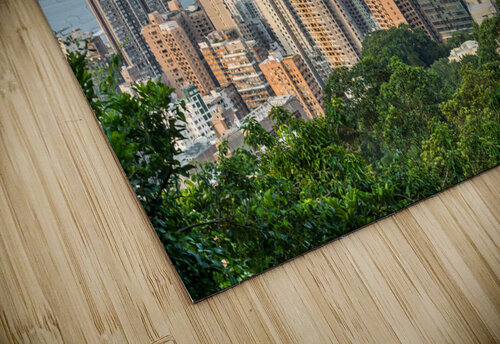 Hong Kong in the Evening caladoart puzzle