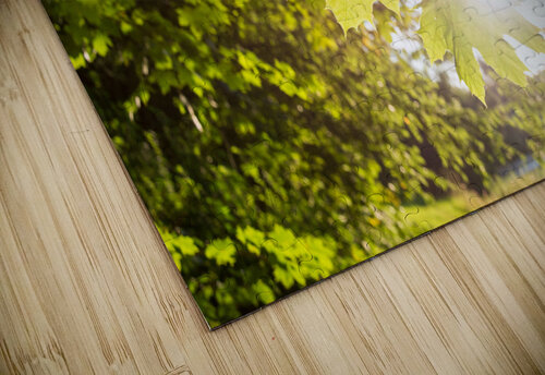 Sun and Leaves caladoart puzzle