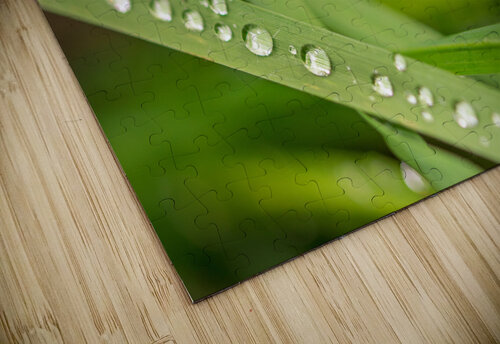 Dewdrops caladoart puzzle
