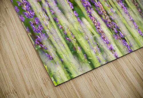 Lavender caladoart puzzle
