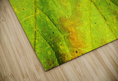 Maple Leaf  caladoart puzzle
