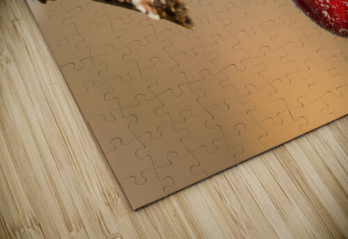 Frozen Rosehip caladoart puzzle