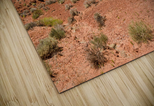 Red Desert caladoart puzzle