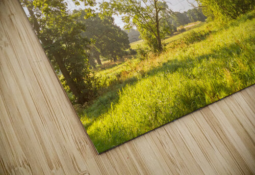 Park caladoart puzzle