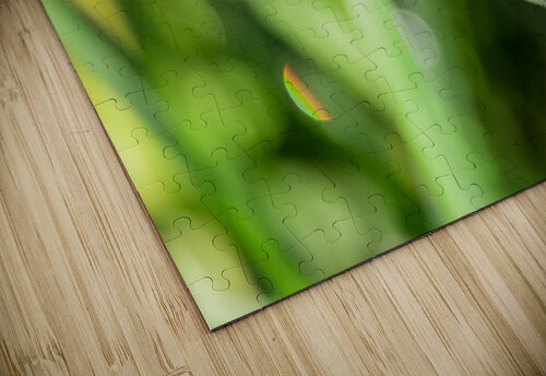 Nature caladoart puzzle