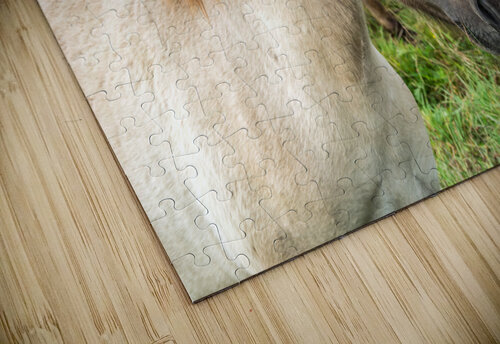 Konik caladoart puzzle