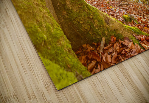 Autumn Tree Trunk caladoart puzzle