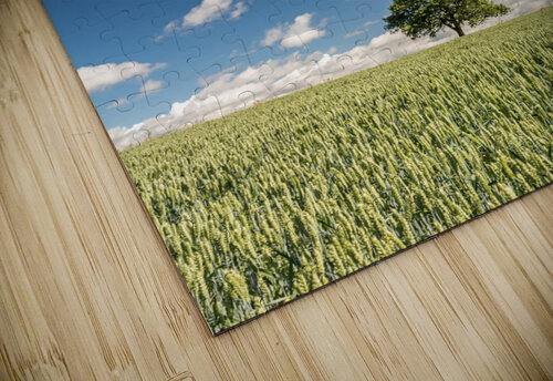 Lonely Tree caladoart puzzle