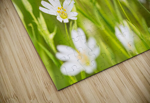 White Flowers caladoart puzzle