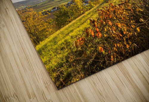 Vineyard View caladoart puzzle